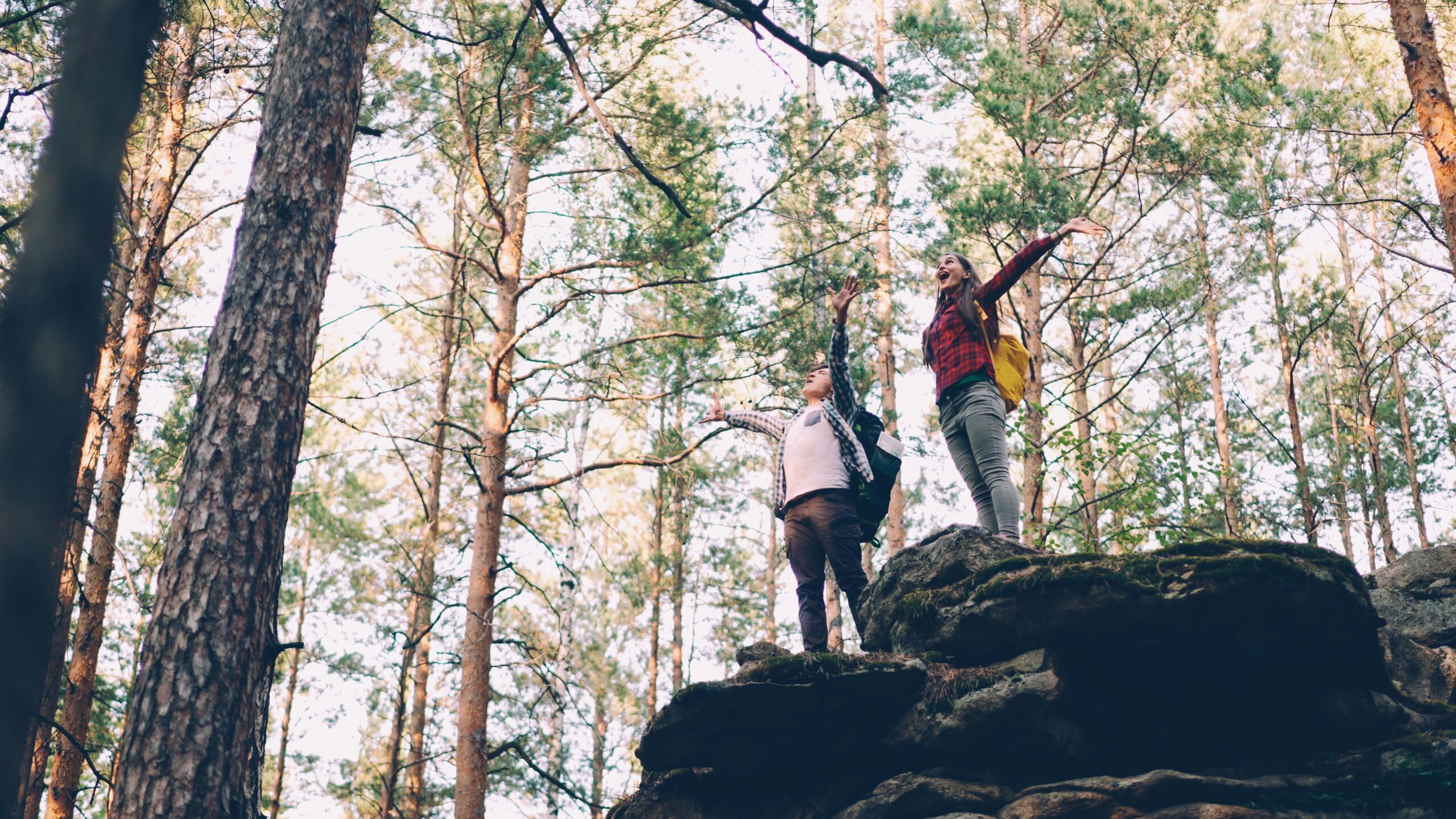 Two people in the forest with arms wide open